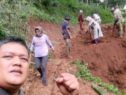 Dusun Ununeun Banjarangsana Panumbangan Ciamis Buka Jalan Ketahanan Pangan Sepanjang 7 km