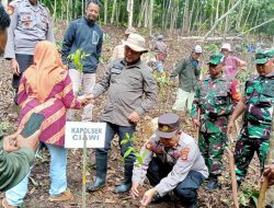Kapolsek Ciawi Hadiri Kegiatan Menanam Pohon, Antisipasi Perubahan Iklim dan Kerusakan Hutan