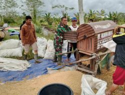 Bangun Kedekatan Dengan Warga, Babinsa Perigi Limus Tingkatkan Swasembada Pangan di Desa Binaannya