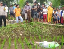 Seorang Pemuda Ditemukan Meninggal Dunia di Petakan Sawah, Polres Tasikmalaya Kota Lakukan Olah TKP