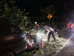 Bantu Evakuasi Pohon Tumbang, Personel Polsek Indihiang Bersinergi Dengan BPBD Kota Tasikmalaya dan Warga
