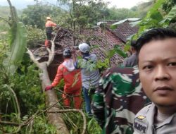 Pohon Tumbang Timpa Gudang Tikar, Bhabinkamtibmas Kelurahan Margabakti Gotong Royong Bersama Babinsa dan BPBD