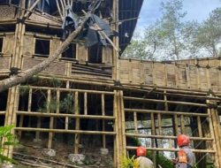 SAT BRIMOB POLDA JABAR CEK POHON TUMBANG DI DAERAH CIBODAS LEMBANG