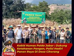 Kabid Humas Polda Jabar : Dukung Ketahanan Pangan, Polisi Hadiri Panen Raya Di Desa Ciherang