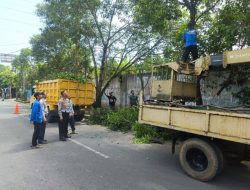 Menganggu Rambu Lalulintas, Pohon Rindang Dipangkas