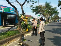 Personel Polsek Kawalu Evakuasi Pohon Tumbang di Jalan Gubernur Sewaka