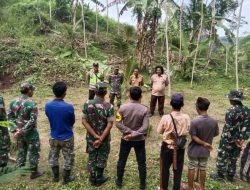 Jaga Kelestarian Alam, Koramil 1220/Cikalong bersama Dinas Kehutanan Wilayah VI Penyuluh Kehutanan Kec.Cikalong Gelar Penanaman Pohon