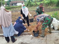 Koramil 1211/Singaparna Dukung Swasembada Pangan Melalui Pemanfaatan Pupuk Kandang di Musim Penghujan