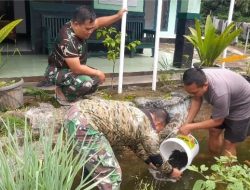 Koramil 1223/Sodonghilir Tebar Bibit Ikan Lele untuk Perkuat Ketahanan Pangan