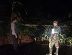 TANAH LONGSOR TUTUP AKSES JALAN CIKALONG-SODONGHILIR, BABINSA KORAMIL 1223/SODONGHILIR SIAGA