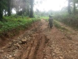 Akses Transportasi Jalan Desa yang Rusak Parah Seakan Luput Dari Perhatian Pemerintah