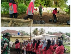 Koramil 1211/Singaparna Dorong Ketahanan Pangan melalui Pengolahan Lahan Tidur di Desa Sukarame
