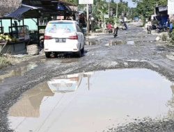 Jalan Lintas Protokol Jurusan Objek Wisata Internasional Bukit Lawang menuju Kota Medan Bagai Kubangan Kerbau