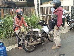 Tukang Air Galon Terseret Benang Layangan di Ciamis, Leher Terluka