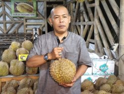 Kedai Durian Kujang Cikoneng Ciamis Promo Durian Rp 100 Ribu Dapat Empat Biji, Promo Sampai 30 April