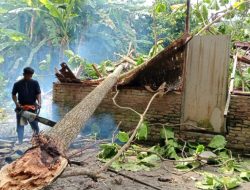 Hujan Lebat dan Angin Puting Beliung Terjang Kecamatan Secanggang, Langkat – Delapan Desa Alami Kerusakan Parah
