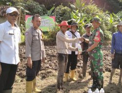 Kolaborasi TNI-Polri dan Pemdes Cikadongdong Wujudkan Ketahanan Pangan Lewat Penanaman Jagung