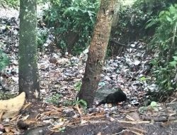 Demi Lingkungan Lestari, Warga Sukasenang Ciamis Usul Solusi Pengelolaan Sampah